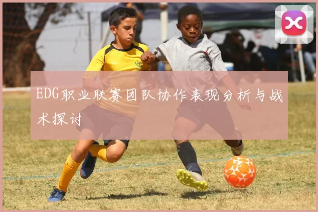 EDG职业联赛团队协作表现分析与战术探讨